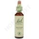 Bach Flower Remedies for Animals - Mustard